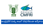 CMFRI Notification 2024