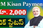 PM Kisan Payment Status 2025