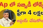 Ap Subsidy Loans 2025