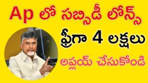 Ap Subsidy Loans 2025