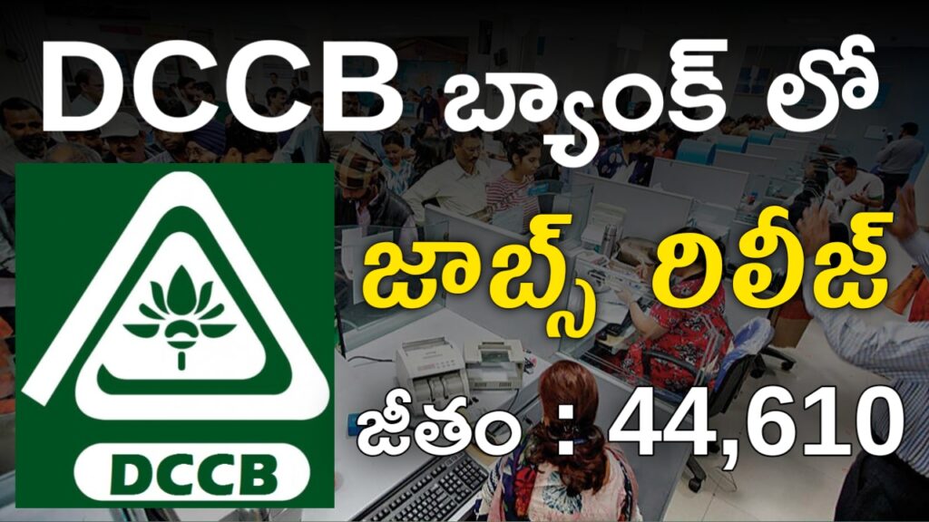 DCCB Bank Jobs 