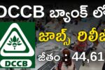 DCCB Bank Jobs