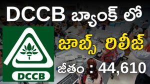 DCCB Bank Jobs