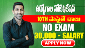 DCHS Ananthapuramu Recruitment 2025: Apply for 43 Contract & Outsourcing Posts – Salary Up to ₹54,000!